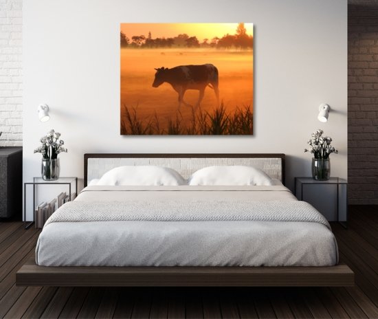 Koe zonsopkomst natuurfoto wanddecoratie