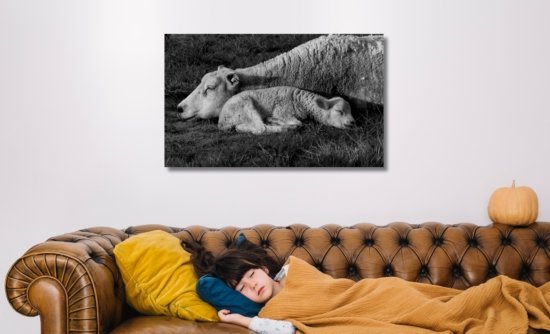 Slapende schapen natuurfoto wanddecoratie canvas zwartwit