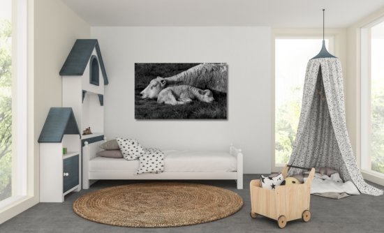 Slapende schapen natuurfoto wanddecoratie canvas zwartwit