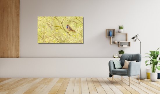 Blauwborst vogel wanddecoratie natuurfoto