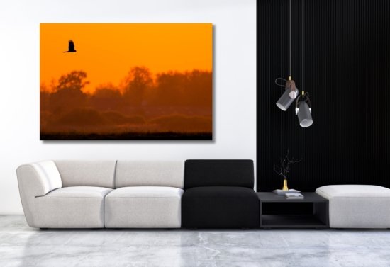 Kiekendief natuurfoto wanddecoratie op canvas of alluminium