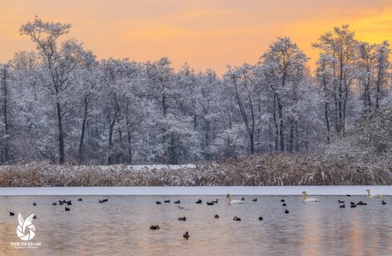 Winters landschap met oranje zonsopkomst Friesland