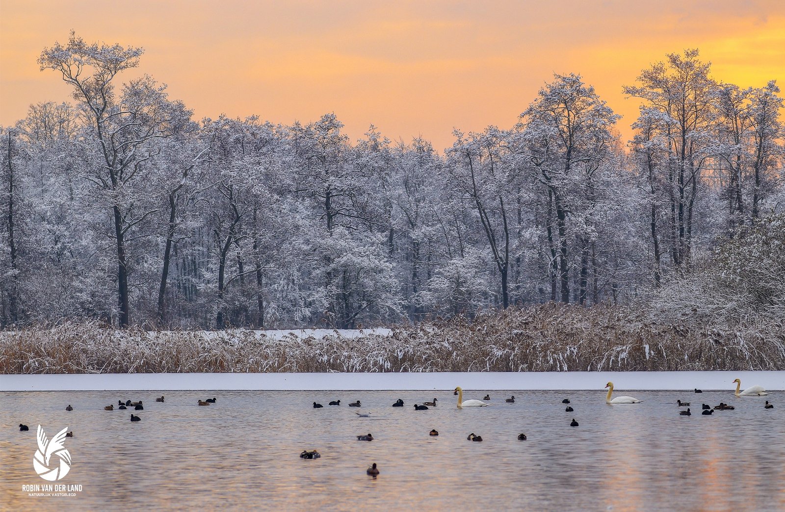 Winters landschap met oranje zonsopkomst Friesland