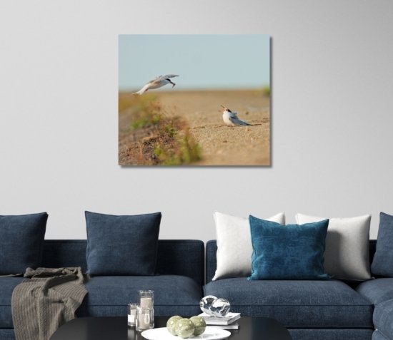 Visdiefjes natuurfoto op canvas als wanddecoratie