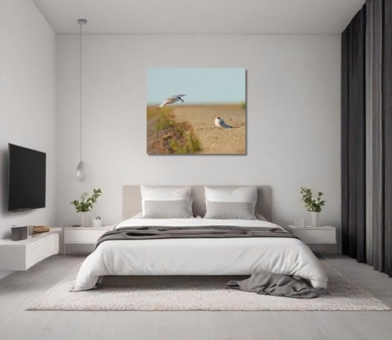 Visdiefjes natuurfoto op canvas als wanddecoratie