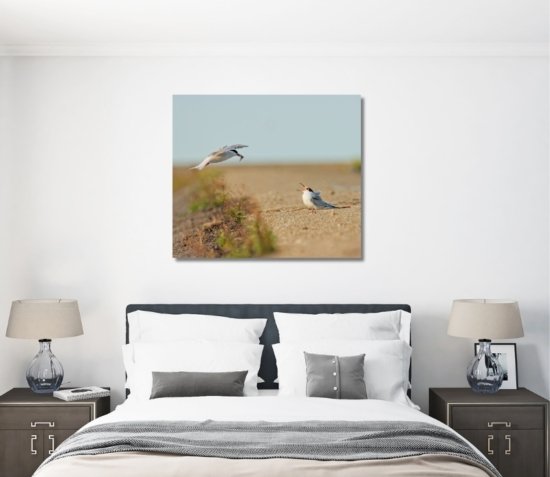 Visdiefjes natuurfoto op canvas als wanddecoratie